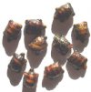 10 19mm Satin Topaz Tortoise Turtle Beads